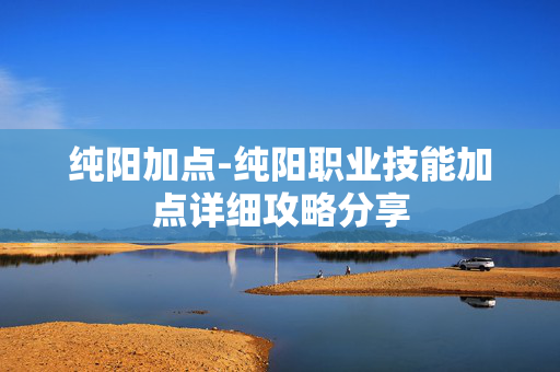 纯阳加点-纯阳职业技能加点详细攻略分享