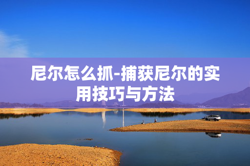 尼尔怎么抓-捕获尼尔的实用技巧与方法 尼尔怎么抓-捕获尼尔的实用技巧与方法
