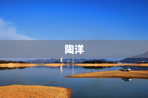 陶洋