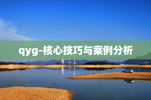 qyg-核心技巧与案例分析
