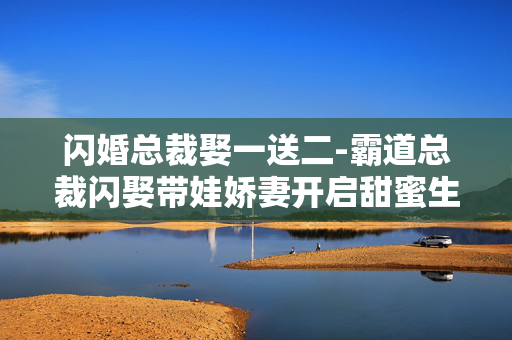 闪婚总裁娶一送二-霸道总裁闪娶带娃娇妻开启甜蜜生活 闪婚总裁娶一送二-霸道总裁闪娶带娃娇妻开启甜蜜生活
