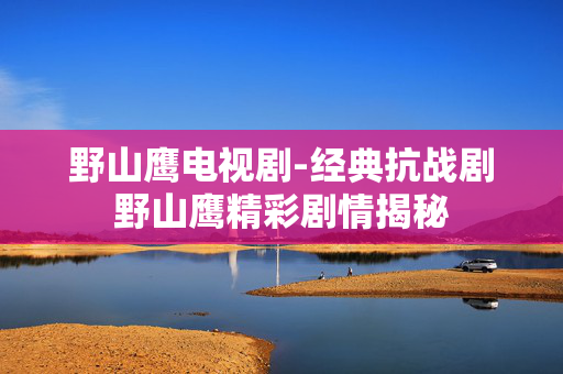 野山鹰电视剧-经典抗战剧野山鹰精彩剧情揭秘