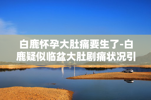 白鹿怀孕大肚痛要生了-白鹿疑似临盆大肚剧痛状况引关注