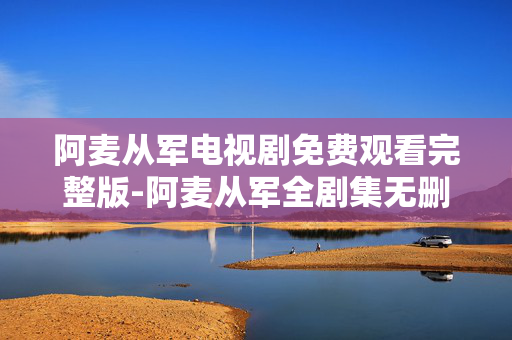 阿麦从军电视剧免费观看完整版-阿麦从军全剧集无删减免费在线看