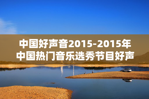 中国好声音2015-2015年中国热门音乐选秀节目好声音