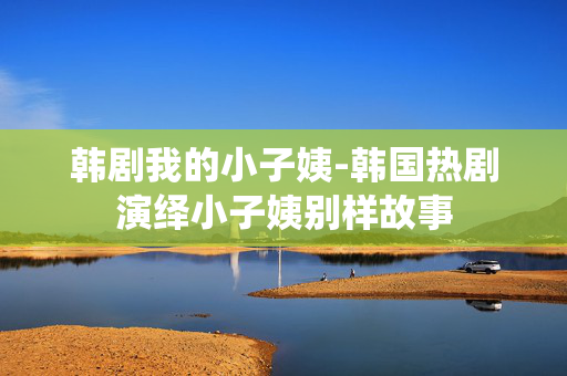 韩剧我的小子姨-韩国热剧演绎小子姨别样故事
