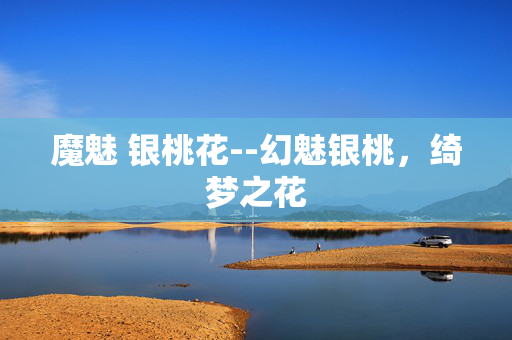 魔魅 银桃花--幻魅银桃,绮梦之花 魔魅 银桃花--幻魅银桃,绮梦之花