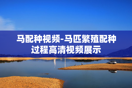 马配种视频-马匹繁殖配种过程高清视频展示