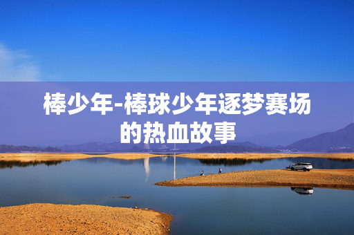 棒少年-棒球少年逐梦赛场的热血故事