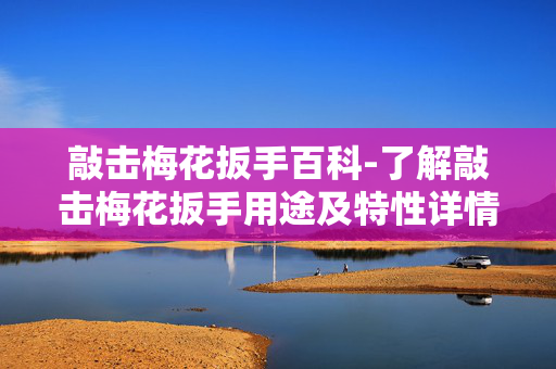 敲击梅花扳手百科-了解敲击梅花扳手用途及特性详情 敲击梅花扳手百科-了解敲击梅花扳手用途及特性详情