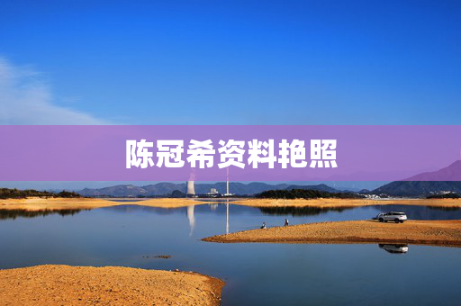 陈冠希资料艳照