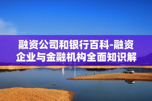 融资公司和银行百科-融资企业与金融机构全面知识解析 融资公司和银行百科-融资企业与金融机构全面知识解析