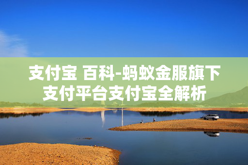 支付宝 百科-蚂蚁金服旗下支付平台支付宝全解析
