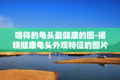 啥样的龟头最健康的图-揭晓健康龟头外观特征的图片展示 啥样的龟头最健康的图-揭晓健康龟头外观特征的图片展示