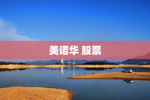 美诺华 股票
