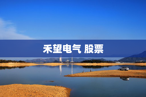 禾望电气 股票