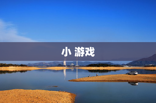 小 游戏