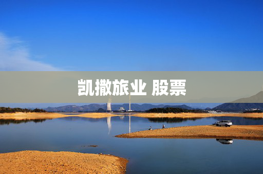 凯撒旅业 股票
