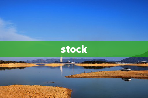 stock
