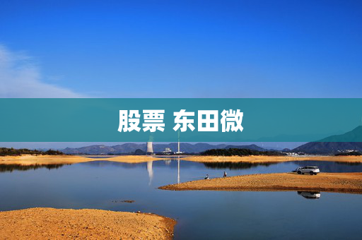 股票 东田微