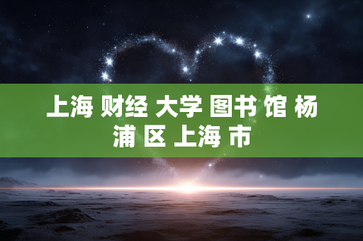 上海 财经 大学 图书 馆 杨浦 区 上海 市