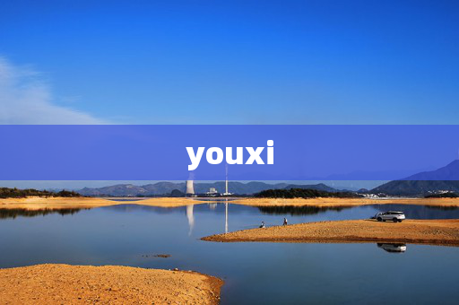 youxi