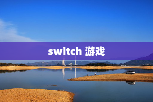 switch 游戏 switch 游戏