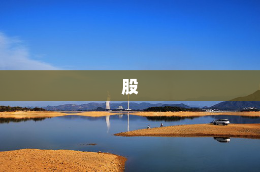 股