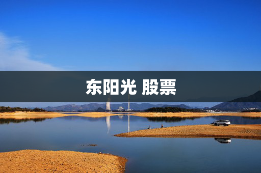 东阳光 股票