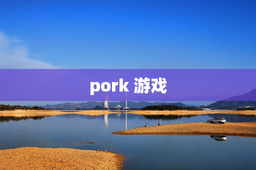 pork 游戏