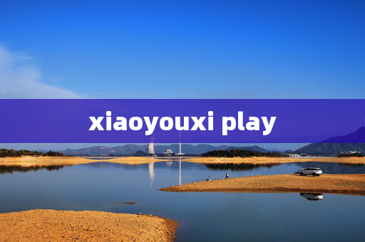 xiaoyouxi play