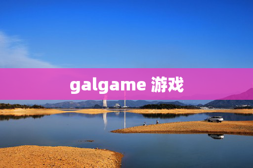 galgame 游戏