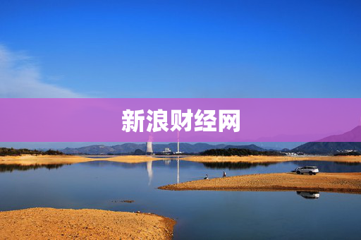 新浪财经网
