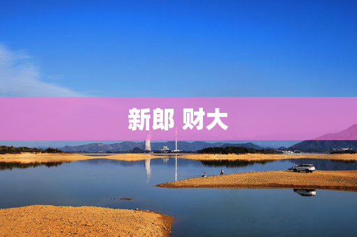 新郎 财大
