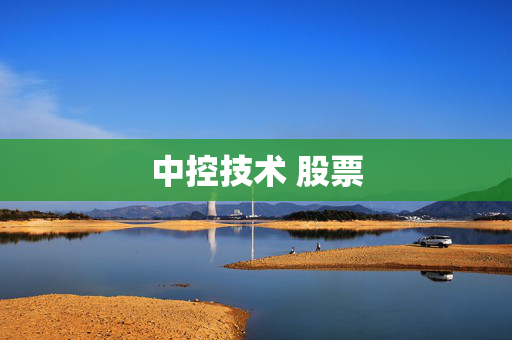 中控技术 股票