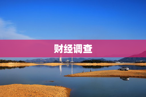 财经调查