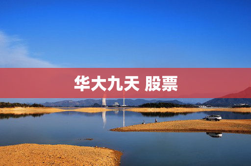 华大九天 股票