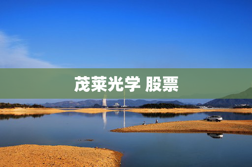 茂莱光学 股票