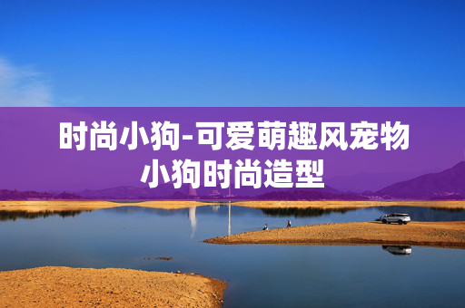 时尚小狗-可爱萌趣风宠物小狗时尚造型