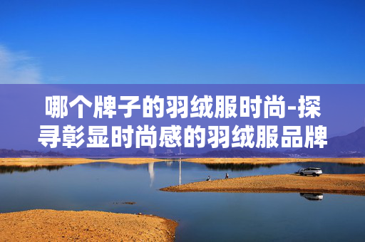 哪个牌子的羽绒服时尚-探寻彰显时尚感的羽绒服品牌推荐