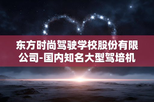 东方时尚驾驶学校股份有限公司-国内知名大型驾培机构东方时尚详情
