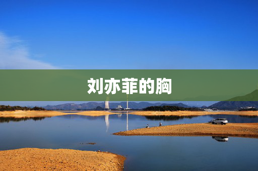 刘亦菲的胸