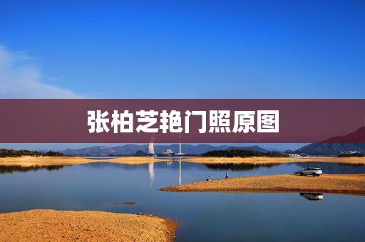张柏芝艳门照原图