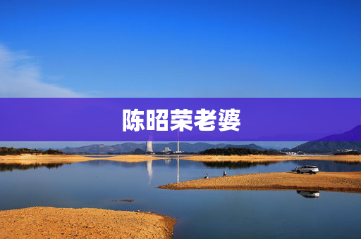 陈昭荣老婆