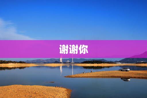 谢谢你