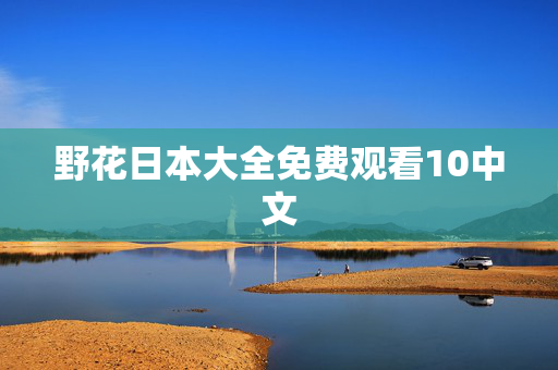 野花日本大全免费观看10中文