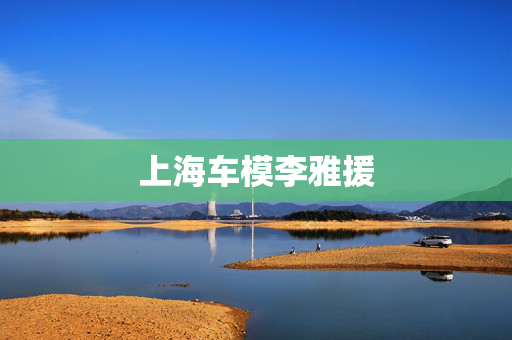 上海车模李雅援