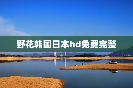 野花韩国日本hd免费完整