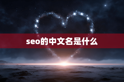 seo的中文名是什么