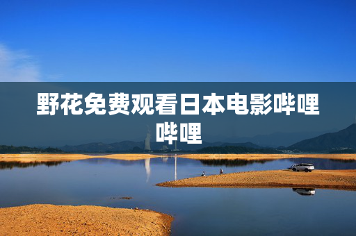 野花免费观看日本电影哔哩哔哩